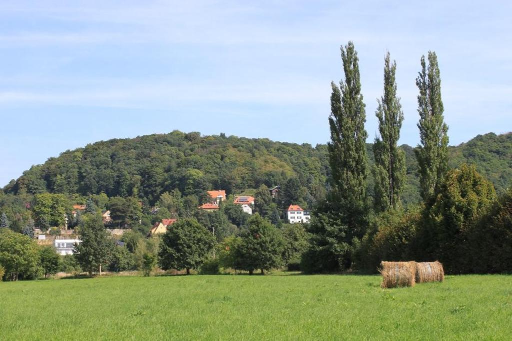 Traumhaftes Elb-Chalet Dresden Bagian luar foto